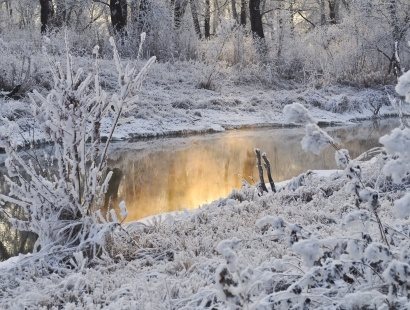 Snow along a stream